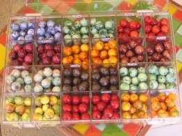 Kralchi pa dekora kadena